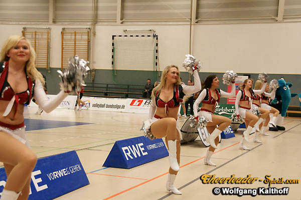 ../Images/silverstars_417.JPG
