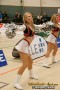 Thumbs/tn_silverstars_335.jpg