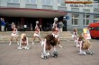 Thumbs/tn_silverstars_wk_167.jpg