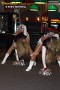 Thumbs/tn_IMG_8014.jpg