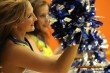 Thumbs/tn_DFB_2041.jpg