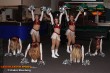 Thumbs/tn_IMG_9382.jpg