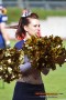 Thumbs/tn_IMG_1021.jpg