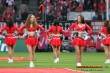 Thumbs/tn_DFB_2039.jpg