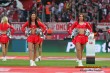 Thumbs/tn_DFB_2045.jpg