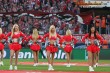 Thumbs/tn_DFB_2051.jpg
