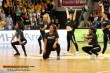 Thumbs/tn_DFB_5166.jpg