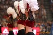 Thumbs/tn_DFB_6478.jpg