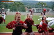 Thumbs/tn_mascots_15.jpg