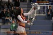 Thumbs/tn_IMG_3597.jpg