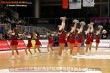 Thumbs/tn_IMG_9307.jpg
