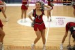 Thumbs/tn_IMG_9384.jpg