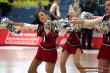 Thumbs/tn_IMG_2893.jpg