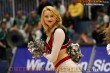 Thumbs/tn_IMG_0155.jpg