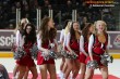 Thumbs/tn_DFB_8638.jpg