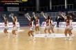 Thumbs/tn_IMG_5229.jpg