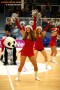 Thumbs/tn_IMG_8313.jpg