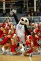 Thumbs/tn_IMG_8348.jpg