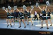 Thumbs/tn_DFB_3221.jpg