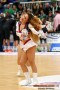 Thumbs/tn_IMG_7234.jpg