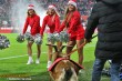 Thumbs/tn_IMG_8284.jpg