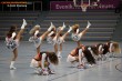 Thumbs/tn_IMG_2104.jpg