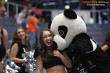 Thumbs/tn_IMG_3289.jpg