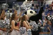 Thumbs/tn_IMG_4219.jpg
