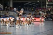 Thumbs/tn_IMG_4859.jpg