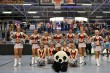 Thumbs/tn_IMG_5150.jpg