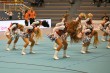 Thumbs/tn_IMG_2473.jpg