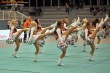 Thumbs/tn_IMG_2479.jpg