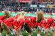 Thumbs/tn_IMG_7402.jpg