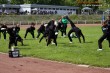 Thumbs/tn_IMG_6256.jpg