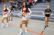 Thumbs/tn_IMG_7638.jpg