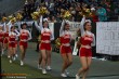 Thumbs/tn_174545_IMG_8612.jpg