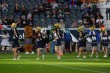 Thumbs/tn_174650_IMG_8641.jpg