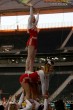 Thumbs/tn_183333_IMG_8813.jpg