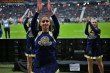 Thumbs/tn_184553_IMG_8957.jpg