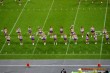 Thumbs/tn_192158_IMG_8203.jpg