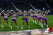 Thumbs/tn_192351_IMG_9499.jpg