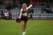 Thumbs/tn_IMG_1262.jpg