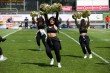 Thumbs/tn_IMG_9905.jpg
