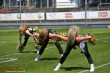 Thumbs/tn_IMG_9950.jpg