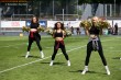 Thumbs/tn_IMG_9965.jpg