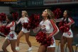 Thumbs/tn_IMG_9297.jpg