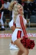 Thumbs/tn_IMG_9433.jpg