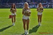 Thumbs/tn_162632_IMG_1491.jpg