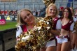 Thumbs/tn_183127_IMG_2169.jpg