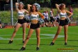 Thumbs/tn_JMG_0239.jpg